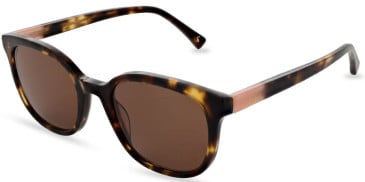 Joules JS7086 sunglasses in Gloss Classic Brown Tortoise
