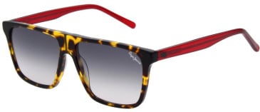 Pepe Jeans PJ7401 sunglasses in Gloss Classic Tortoise