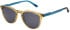 Pepe Jeans PJ7406 sunglasses in Gloss Crystal Brown