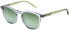 Pepe Jeans PJ7409 sunglasses in Gloss Crystal Grey