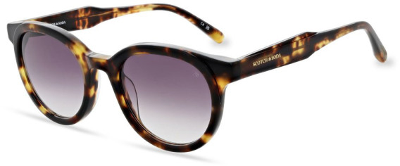 Scotch And Soda SS8016 sunglasses in Dark Tortoise