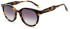 Scotch And Soda SS8016 sunglasses in Dark Tortoise