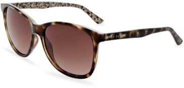 Ted Baker TB1496 sunglasses in Double Champagne
