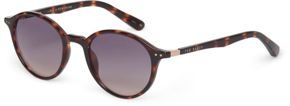 Ted Baker TB1538 sunglasses in Tortoise