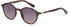 Ted Baker TB1538 sunglasses in Tortoise