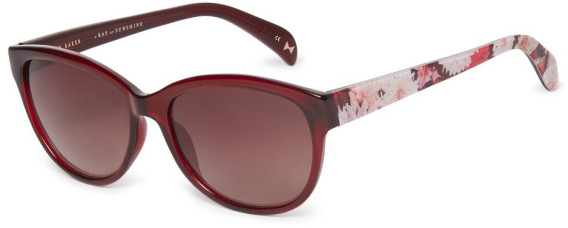 Ted Baker TB1605 sunglasses in Burgundy