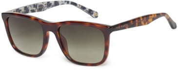 Ted Baker TB1619 sunglasses in Tortoise