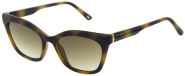 Ted Baker TB1639 sunglasses in Gloss Honey Demi Shell