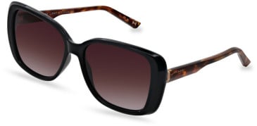 Ted Baker TB1640 sunglasses in Gloss Black