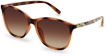 Ted Baker TB1646 sunglasses in Gloss Classic Tortoise