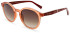 Ted Baker TB1677 sunglasses in Crystal Rose
