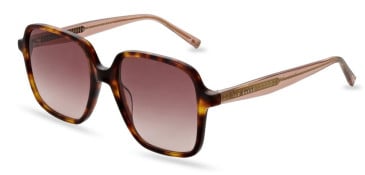 Ted Baker TB1688 sunglasses in Tortoise