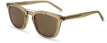 Ted Baker TB1694 sunglasses in Crystal Khaki
