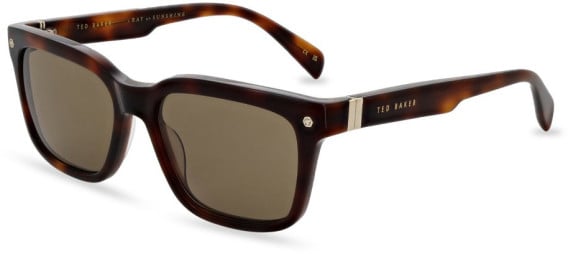Ted Baker TB1696 sunglasses in Dark Tortoise