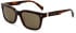 Ted Baker TB1696 sunglasses in Dark Tortoise