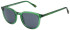United Colors of Benetton BE5059 sunglasses in Gloss Crystal Bottle Green
