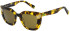 United Colors of Benetton BE5061 sunglasses in Classic Tortoise