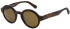 United Colors of Benetton BE5057 sunglasses in Gloss Classic Tortoise