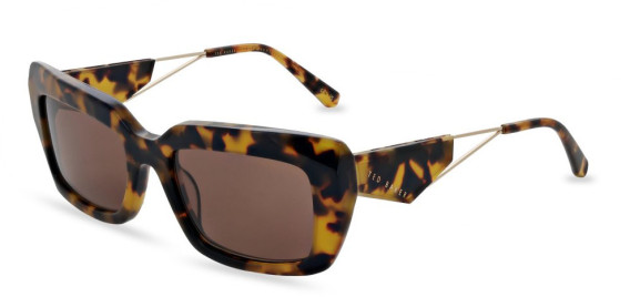 Ted Baker TB1699 sunglasses in Tortoise