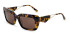 Ted Baker TB1699 sunglasses in Tortoise