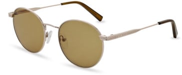 Ted Baker TB1693 sunglasses in Light Gold