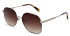 Ted Baker TB1687 sunglasses in Classic Tortoiseshell/Yellow