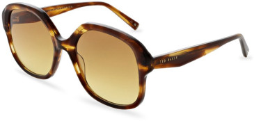 Ted Baker TB1685 sunglasses in Brown Horn