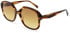 Ted Baker TB1685 sunglasses in Brown Horn