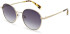 Ted Baker TB1679 sunglasses in Gold/Grey