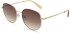 Ted Baker TB1678 sunglasses in Gold/Brown