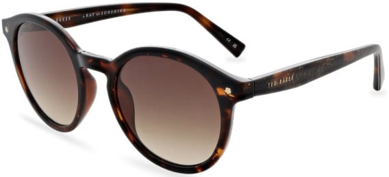 Ted Baker TB1677 sunglasses in Double Champagne Demi
