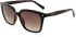Ted Baker TB1676 sunglasses in Double Champagne Demi