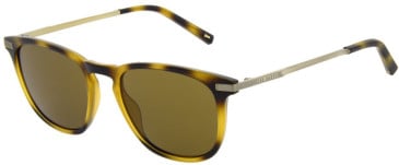 Ted Baker TB1633 sunglasses in Gloss Honey Demi Shell