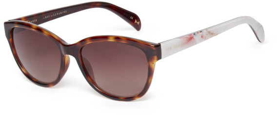 Ted Baker TB1605 sunglasses in Tortoise