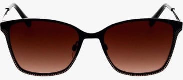 Ted Baker TB1563 sunglasses in Black