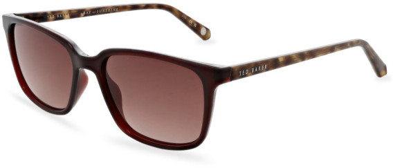 Ted Baker TB1529 sunglasses in Dark Wine