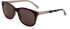 Ted Baker TB1448 sunglasses in Tortoiseshell/Pink