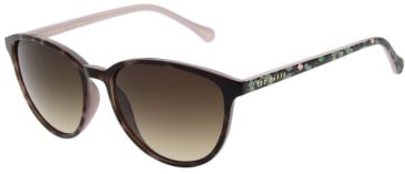 Ted Baker TB1442 sunglasses in Champagne Demi