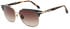 Scotch And Soda SS8014 sunglasses in Brushed Gold