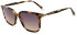Scotch And Soda SS7032 sunglasses in Speckle Tortoise