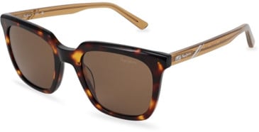 Pepe Jeans PJ7408 sunglasses in Gloss Classic Tortoise