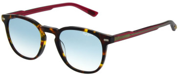 Pepe Jeans PJ7406 sunglasses in Gloss Red Tortoise