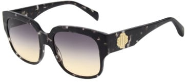 Maje MJ5032 sunglasses in Black Tortoise