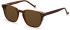 Hackett HSB913 sunglasses in Brown