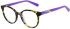 Pepe Jeans PJ4075 kids glasses in Gloss Purple
