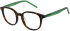 United Colors Of Benetton BEKO2016 kids glasses in Gloss Classic Tort