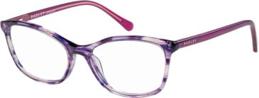 Radley RDO-6017 glasses in Purple/Horn