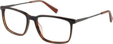 Hero For Men HRO-4320 glasses in Havana