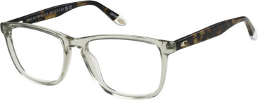 O'Neill ONB-4019 glasses in Gloss Tob/Tortoise