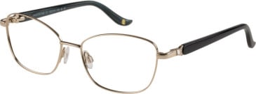 Puccini PCO-328 glasses in Gold